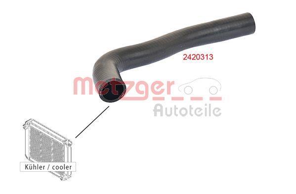 Durite de radiateur (Durite de refroidissement) METZGER 2420313